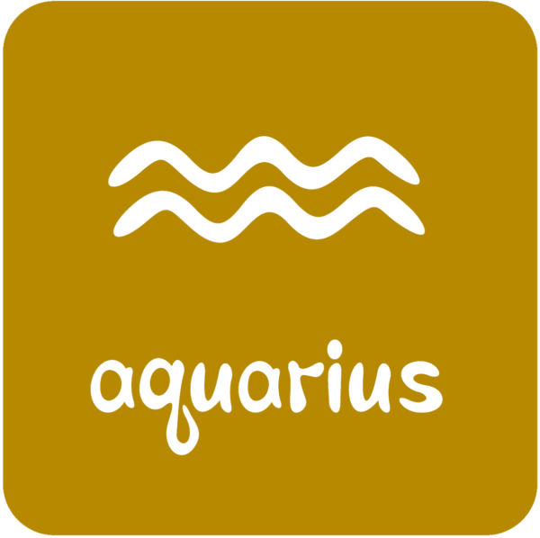 The AQUARIUS Essence