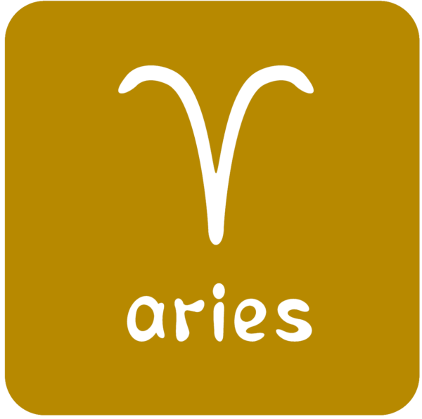 The ARIES Essence