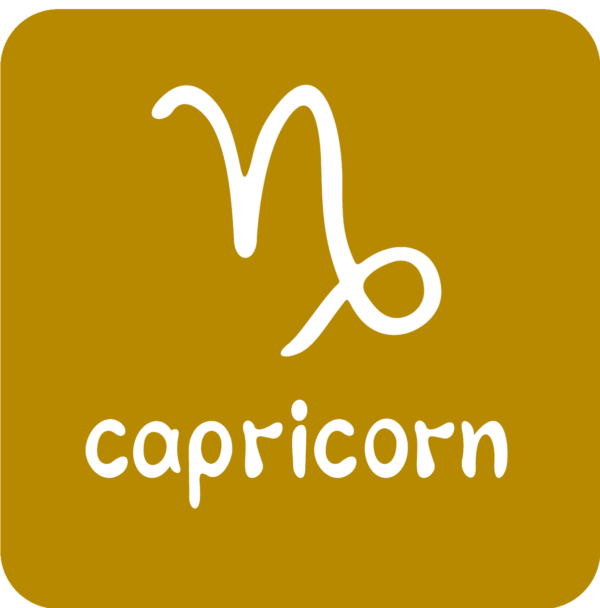 The CAPRICORN Essence