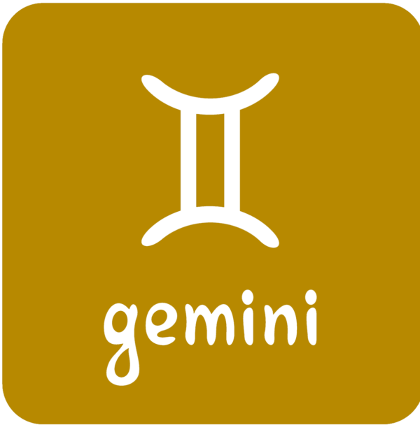 The GEMINI Essence