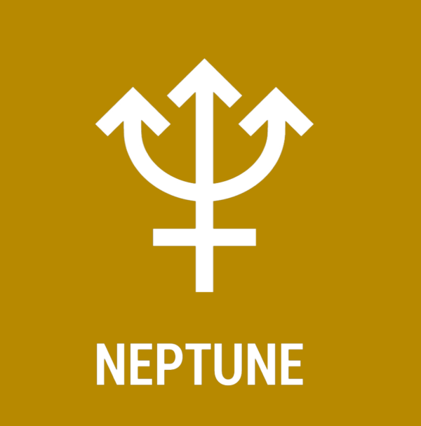 The NEPTUNE Essence