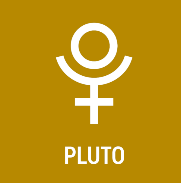 The PLUTO Essence