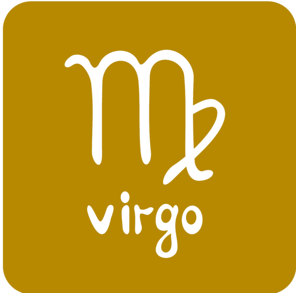 The VIRGO Essence